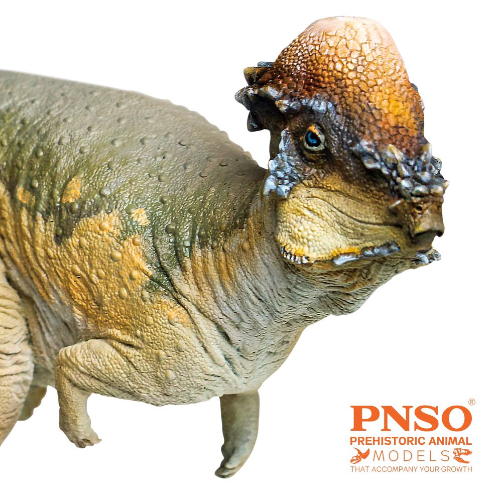 Pnso على تويتر New Model Ta Da Please Scream And Cheer For Austin The Pachycephalosaurus A New Friend Of Pnso 21 The Real Good News Is This Cute Guy Will Be Available Off