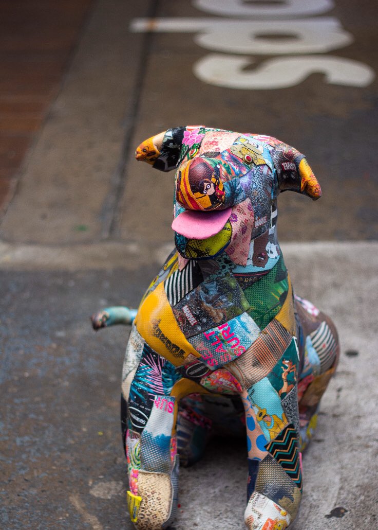 rffsstudio's tweet photo. Recycled flip flops dog.
#rffsstudio #Recycle4Nature #FridayFeeling #Laumann #GoogleEarth #CapeTown https://t.co/Ln8fnjRgeY