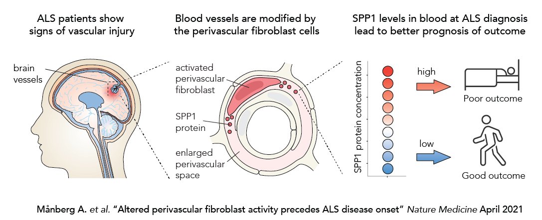 Lewandowski S.A. tweet media