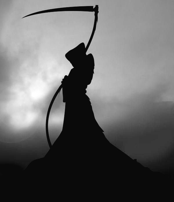 Kali Röhm (@krohm6) on Twitter photo 