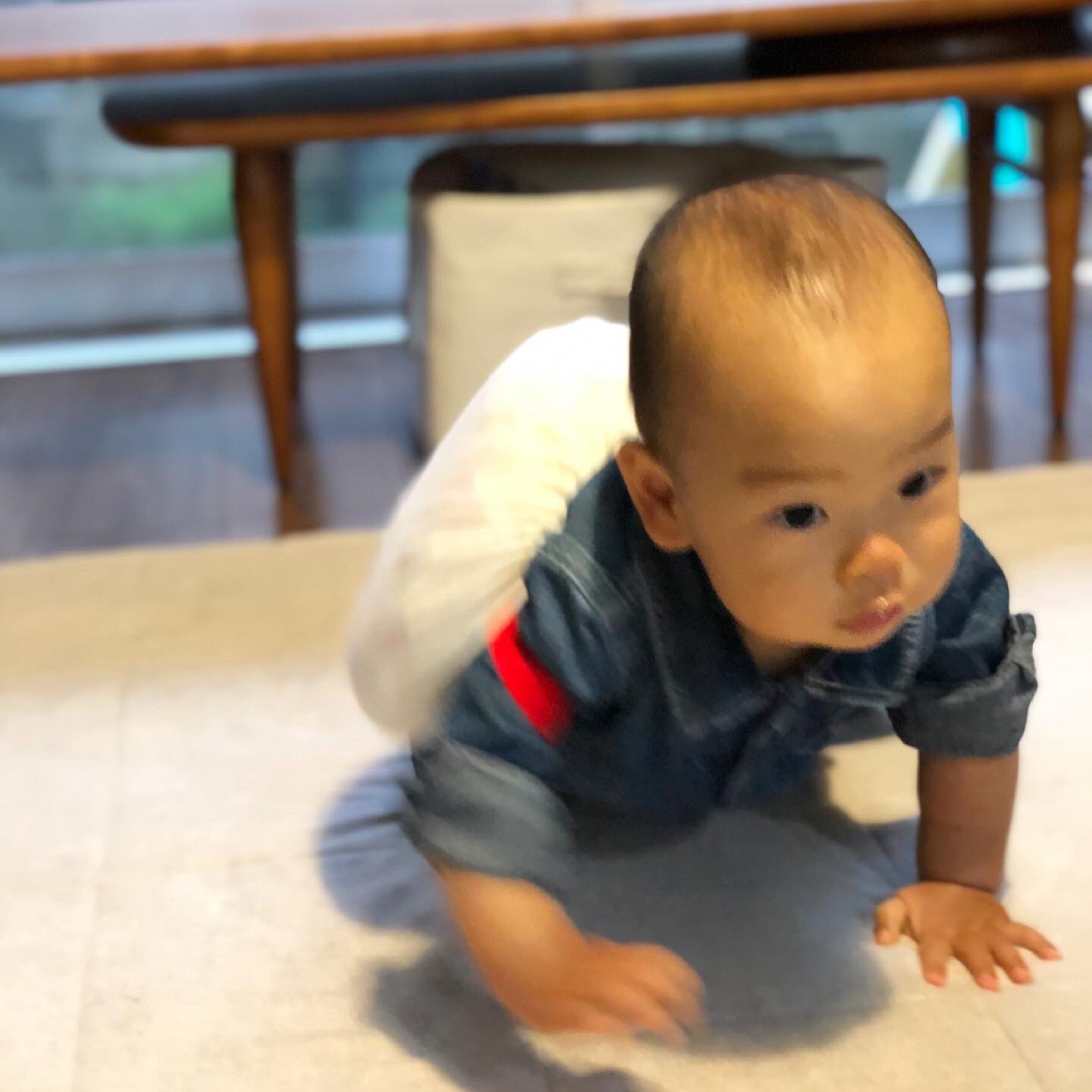 Iku 今日で祝1歳 去年の今頃はまだこの世に産まれて 何時間かのちーさいチビ助だったのに 一年 後の今日はケーキを夢中で食べて 餅を全力で運ぶなんて 赤ちゃんの一年の成長にただただビックリ 一歳も健康元気で楽しく過ごせます様に 一