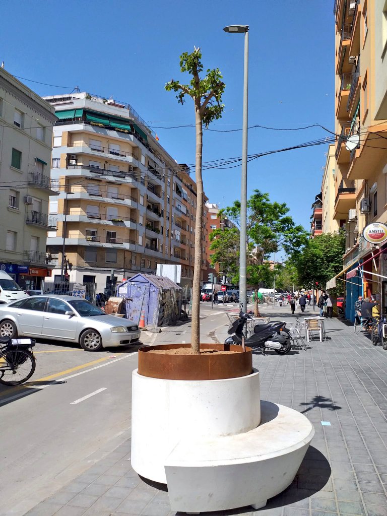 arbopalm's tweet photo. No. Imposible. No ha lugar. Por favor que rehagan el proyecto.
La supervivencia y por tanto el aporte de beneficios ecosistémicos de esta plantación está comprometida.
Bauhinias desmochada+contenedor pequeño y drenaje con grava+clima mediterráneo=fracaso garantizado.
De manual. https://t.co/ux0CQuhf5L