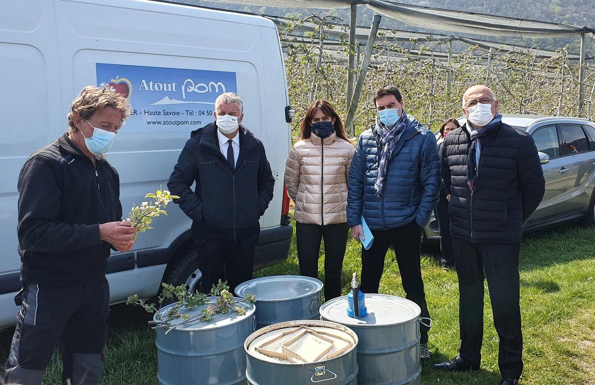MartialSaddier's tweet photo. Constat des dégâts de gel sur les arbres fruitiers avec Monsieur le Préfet de la Haute-Savoie à #Chevrier @Prefet74 https://t.co/NHG0K0WPYj