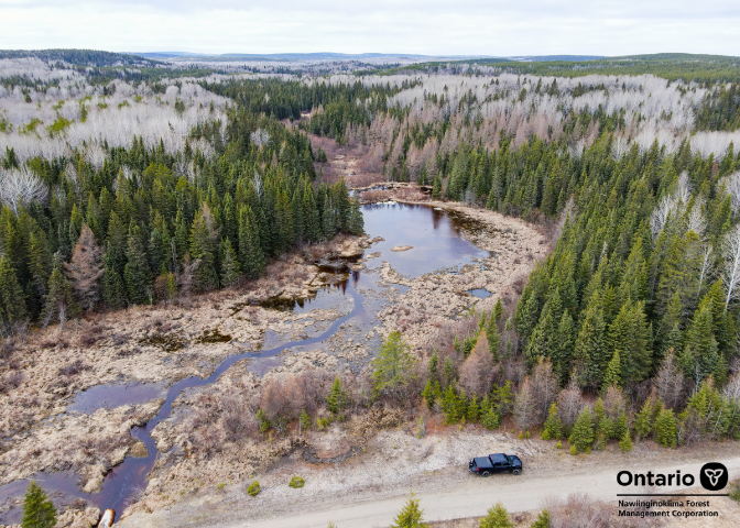 Have you considered a career in the forest industry? This could be the view from your office! 

#ONForestry #woodisgood #fieldwork #workinforestry #forestindustry