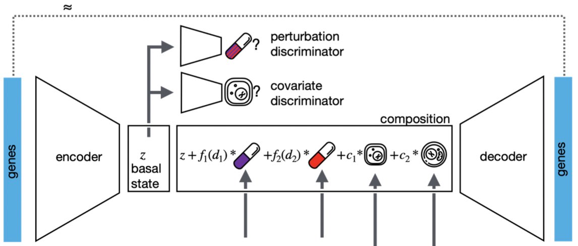Fabian Theis (@fabian_theis) on Twitter photo Excited to share 'compositional perturbation autoencoder', our new tool for single-cell response modeling. Led by @MohammadLotfol1 & <a href="/AKlimovskaia/">Anna Klimovskaia Susmelj</a> <a href="/FacebookAI/">Facebook AI</a>, we
combine interpretability of linear models with flexibility of DL. biorxiv.org/content/10.110…
ai.facebook.com/blog/ai-predic… Excited to share 'compositional perturbation autoencoder', our new tool for single-cell response modeling. Led by @MohammadLotfol1 & <a href="/AKlimovskaia/">Anna Klimovskaia Susmelj</a> <a href="/FacebookAI/">Facebook AI</a>, we
combine interpretability of linear models with flexibility of DL. biorxiv.org/content/10.110…
ai.facebook.com/blog/ai-predic…
