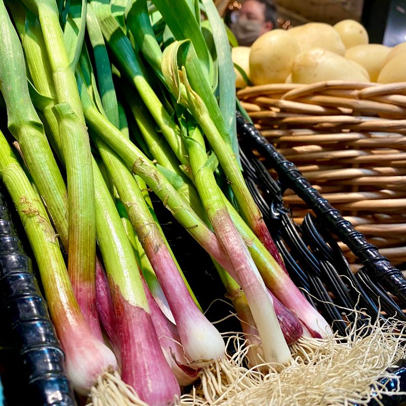 RdgTerminalMkt's tweet photo. Spring produce spotlight! 

@IovineBrothers shared their seasonal selections including green garlic, local radishes, Meyer lemons, and fiddlehead ferns. 

#RTMShop in person or online. https://t.co/TLHxG3DTDS