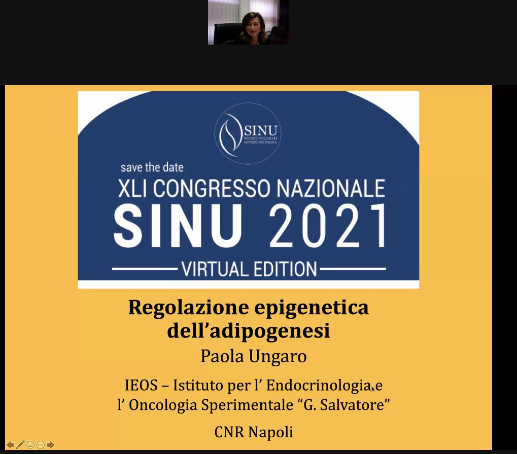 SINU_Italia's tweet photo. La Prof.ssa Paola Ungaro @CNRsocial_ conclude la sessione con un talk sulla regolazione epigenetica dell'adipogenesi! #SINU2021 https://t.co/myRXkCl5Fq