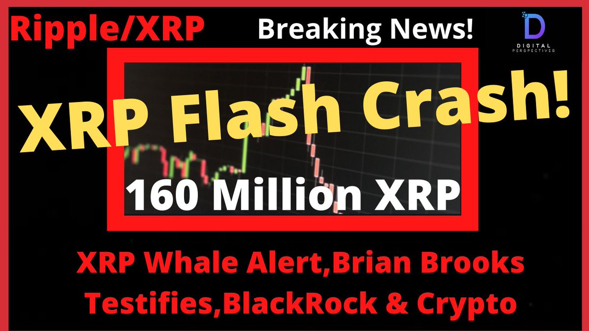 Why Did Xrp Crash / Why Xrp Is Surging 39 / Before ...