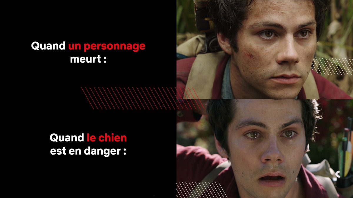 Love &amp; Monsters ne déroge pas à la règle : on ne touche pas au chien !