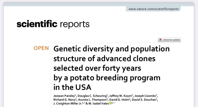 Max Maxjfeldman Twitter