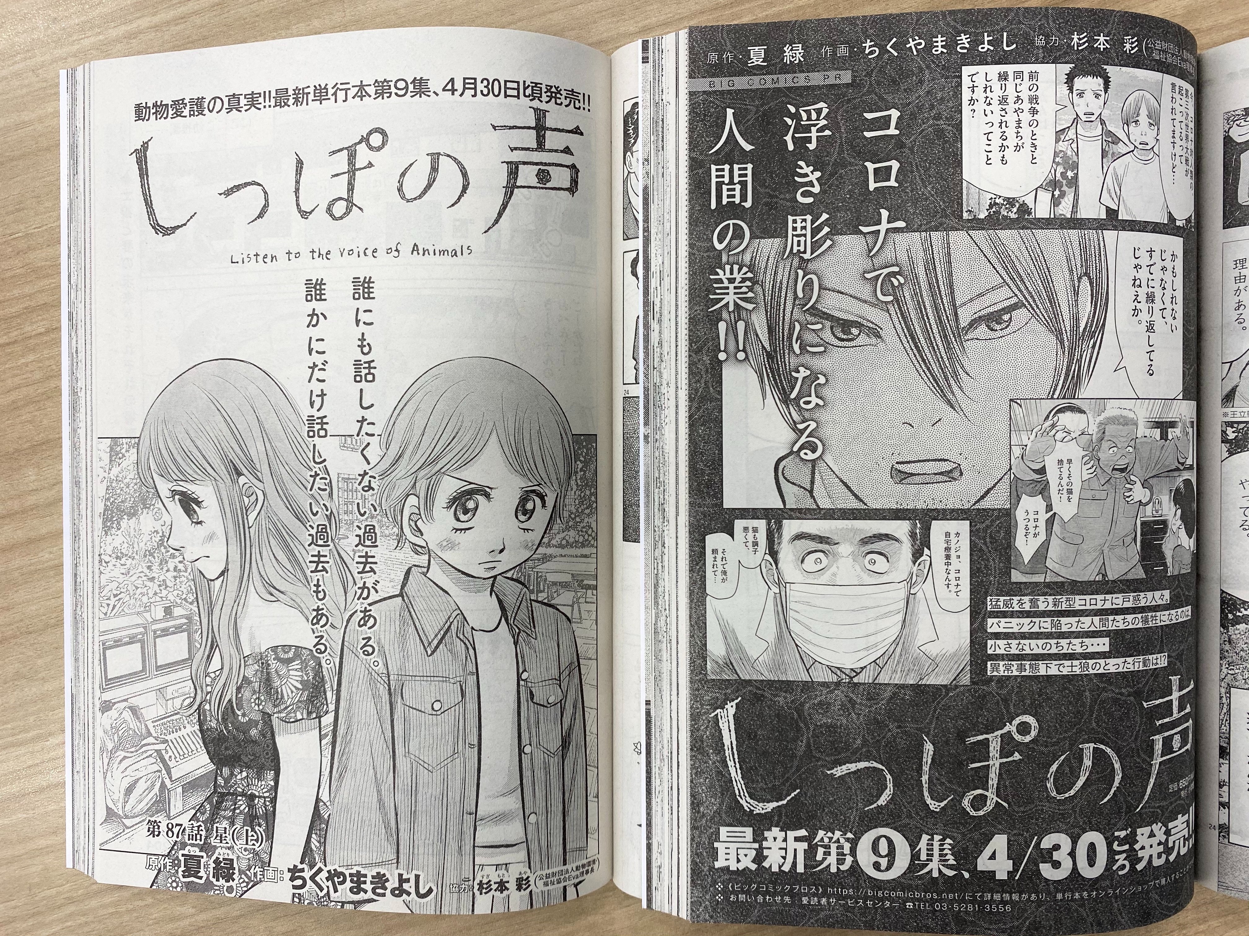 ビッグコミックオリジナル編集部 本日発売 偏愛暴走系女子の なりすまし ついに バレ る ミワさんなりすます 青木u平 心臓バクバク巻頭カラー 単行本第9集 4 30ごろ発売 しっぽの声 夏緑 ちくやまきよし 杉本彩 など ビッグ