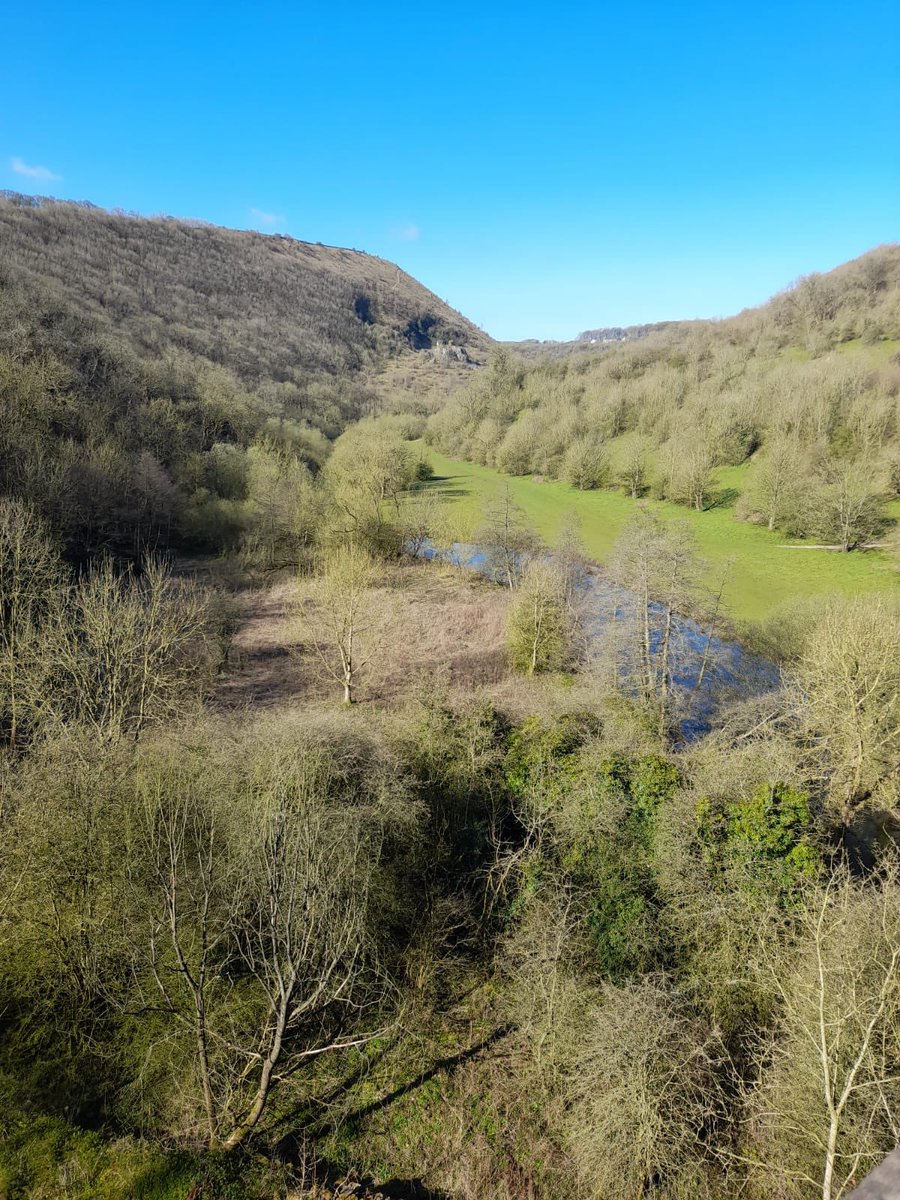 Great view of ravine woodlands at #MonsalDale in the #WhitePeak  #peakdistrict #nationalpark #woods #trees #nature #wild almost all these trees are ash and suffering from #ashdieback so this view will change. Thanks to #EU there is now a £5million project to help. #underthewire