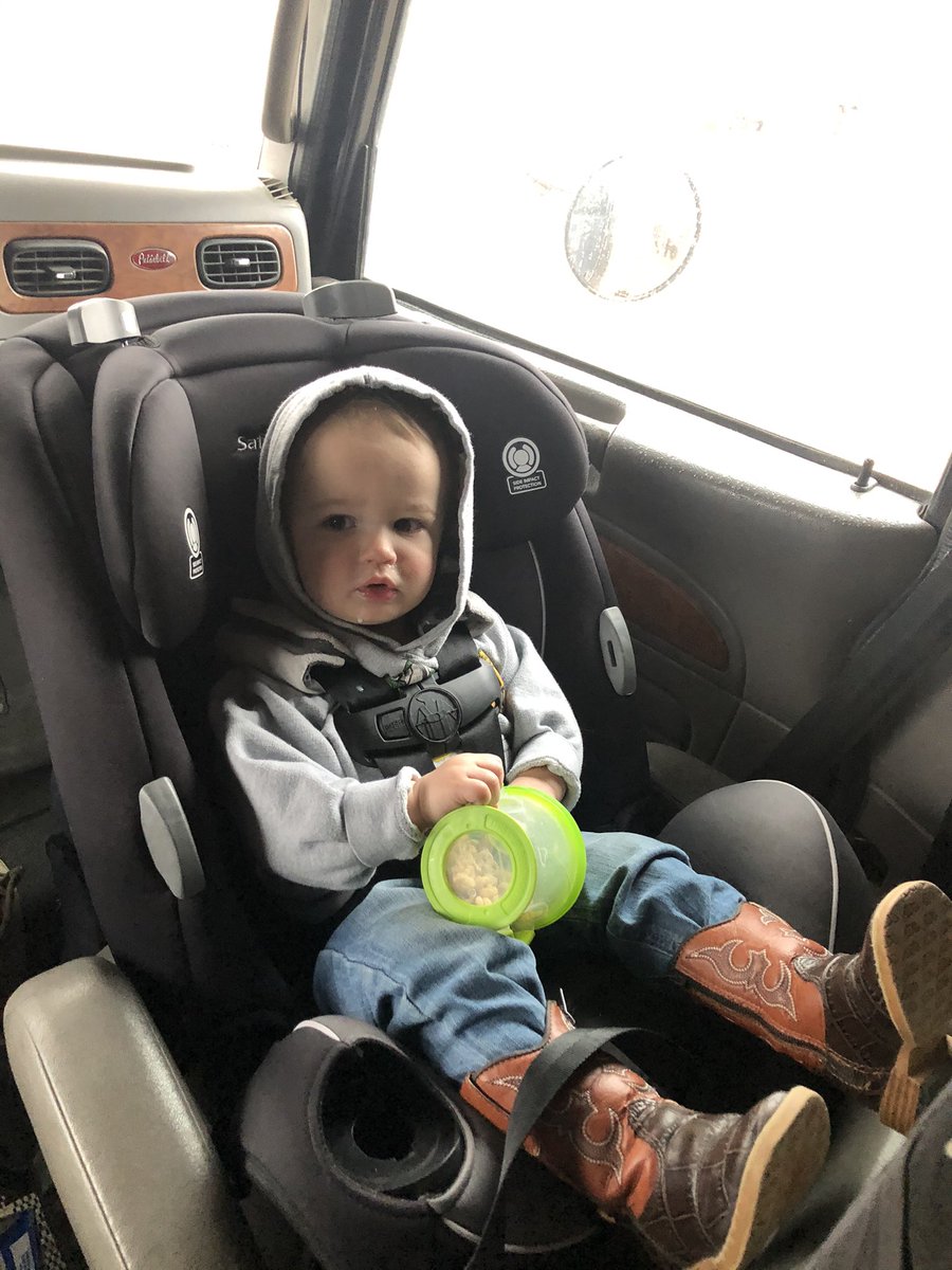WendellStephen5's tweet photo. All strapped in to do some bull haulin! Got to start em young. #liltyke #bigtruck #bullhaulin https://t.co/Yere11QeE9