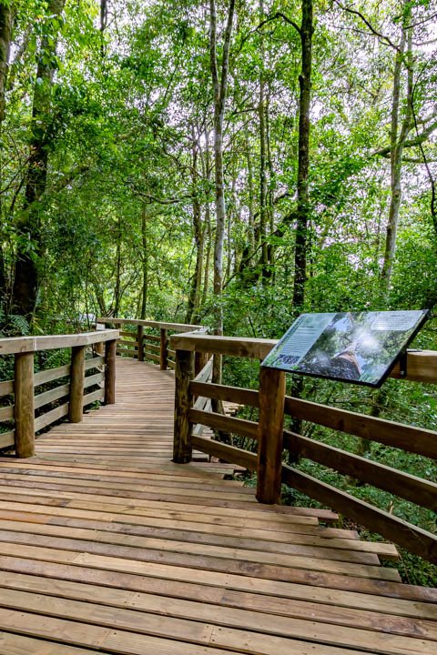 oupapilane's tweet photo. Tomorrow will be a beautiful day to visit the Graskop Gorge Lift Co. Once you get the take the Lift down to the gorge and experience the Forest walk- you will never be the same person 🙏🏽🙏🏽 https://t.co/Pppn7yWUCy