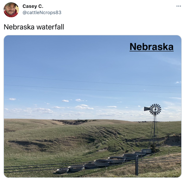 FarmTank's tweet photo. FarmTank Tweet of the Day!

Congrats to @motldave @WLonginaker @cattleNcrops83 and @cropsandclucks for being featured in @KevinVanTrump report! 

#FarmTank #FarmTankFriday #VTR #Corn #Agriculture #Soybean #AgTwitter #wheat #plant21 @JVTknows https://t.co/PxZ5SeqUAA