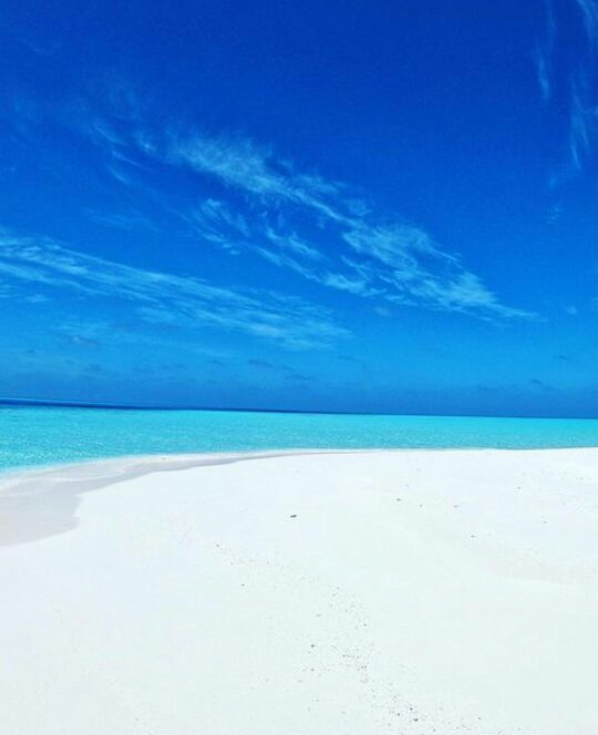 guardiaplanet's tweet photo. Basic elements...
#planetearth #planetguard #nature #landscape #photo #travel #spa #trekking #camping #kayak #yoga #peace #life #elements #hope #stillness #relax #harmony #oxigen #sand #beach #island #coast #shore #air #sky #water #sea #ocean #morning https://t.co/AaIiwtg8EA