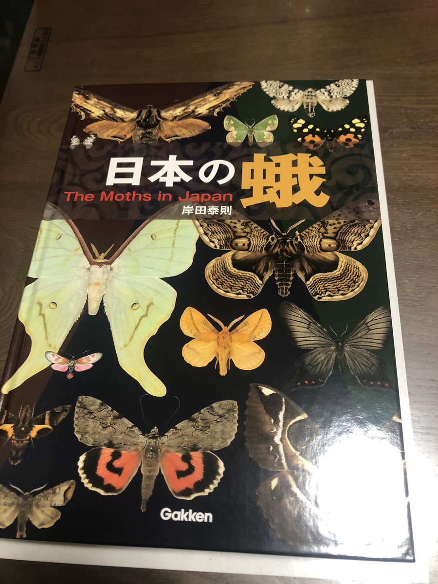 瓦 (@macrolensis) on Twitter photo 