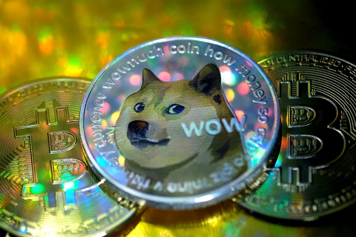 $DOGE DROPS 🐶💰 tweet media