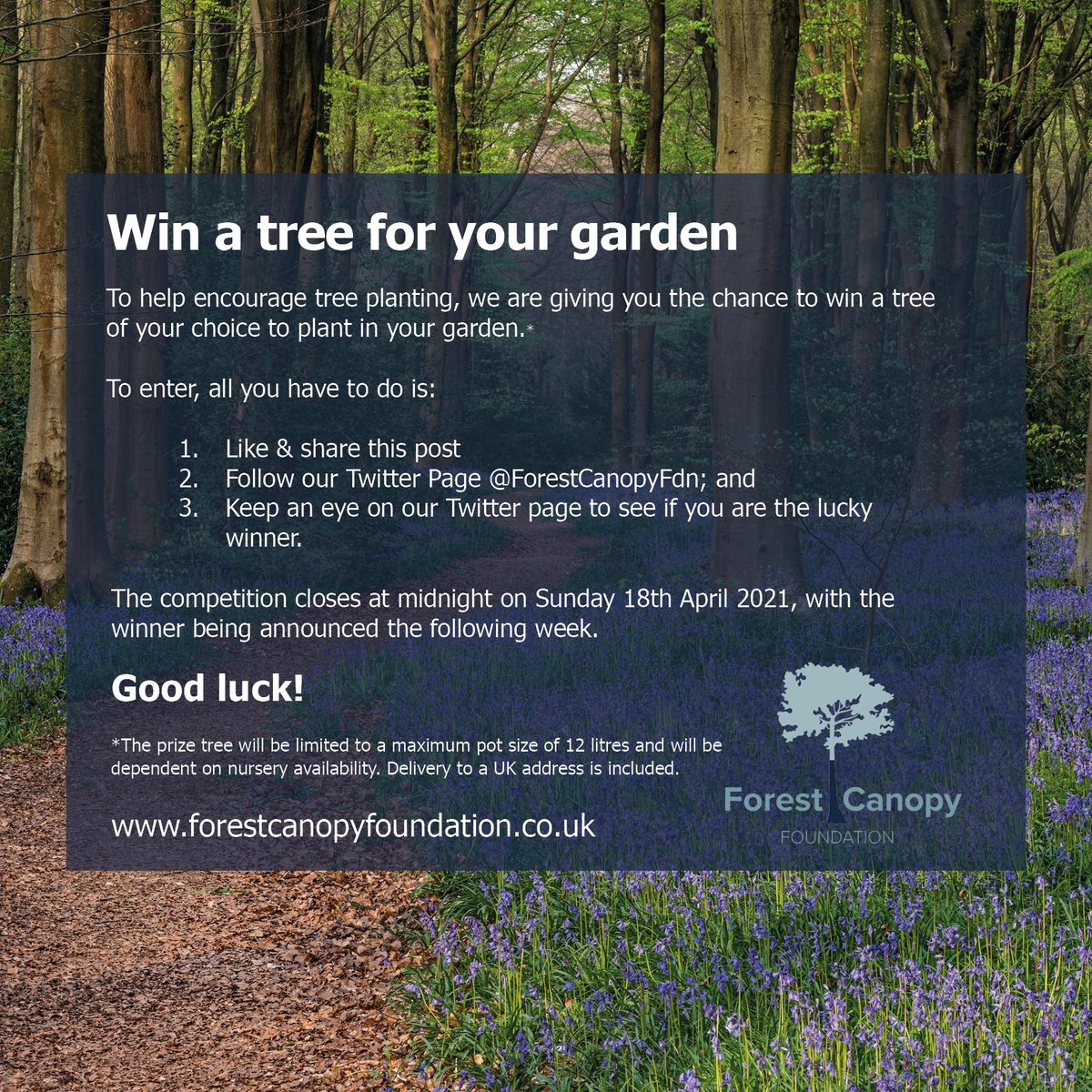 ForestCanopyFoundation tweet media