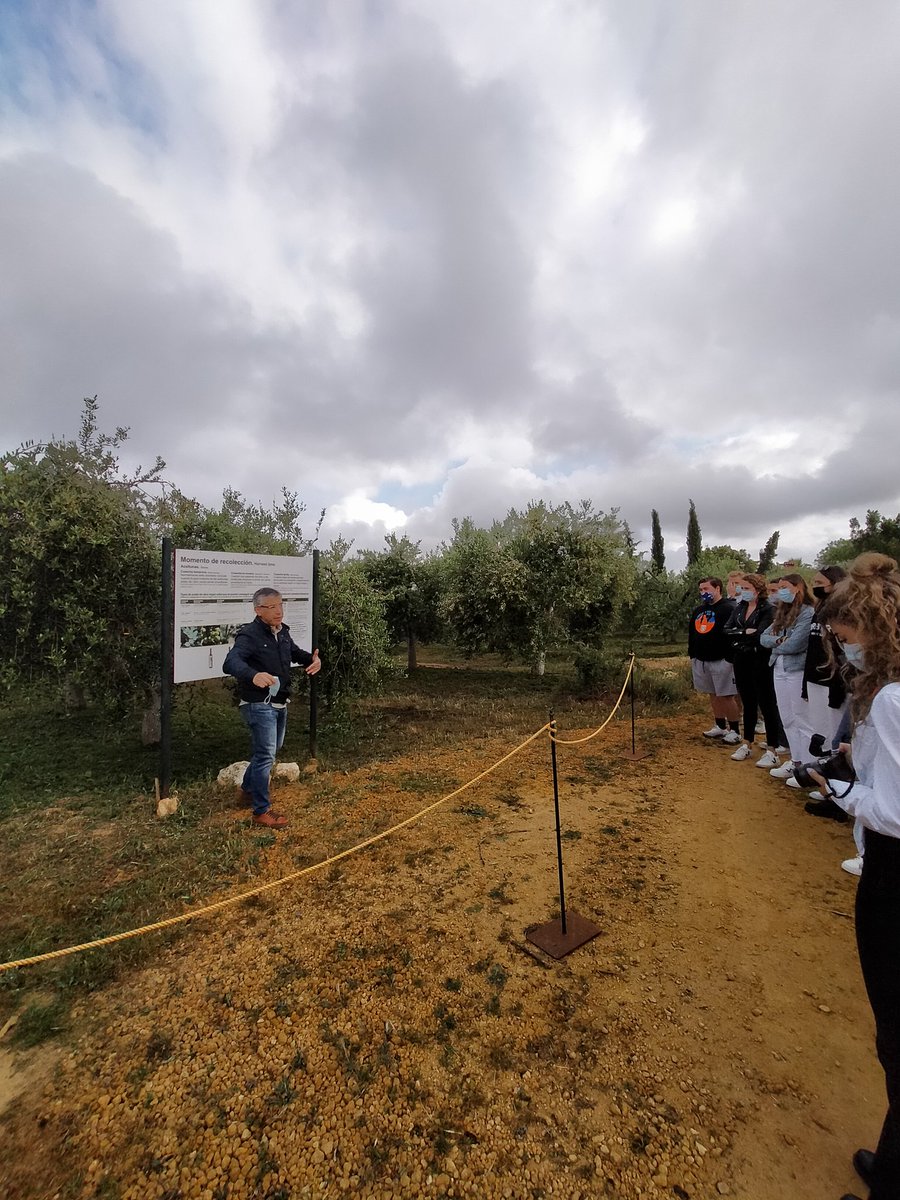 Curro Villarejo tweet media