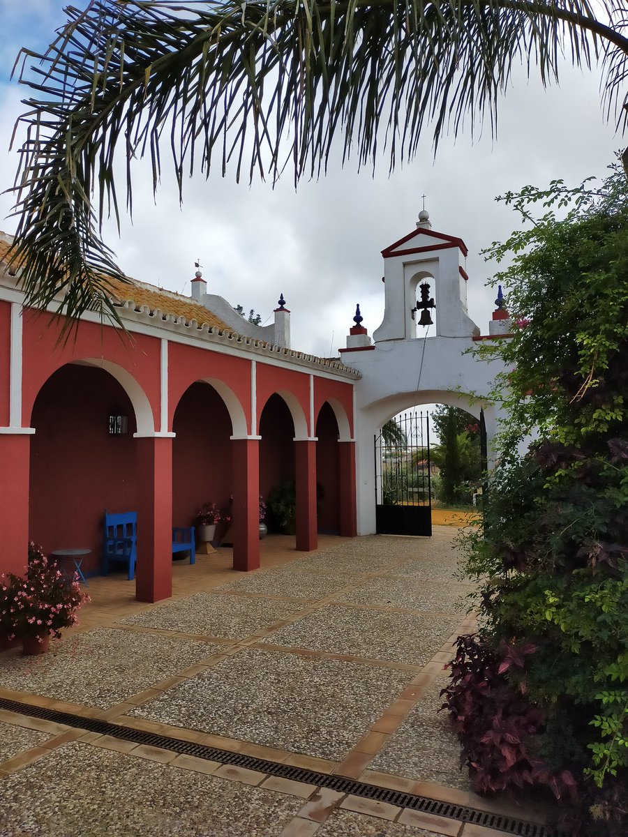 Curro Villarejo tweet media