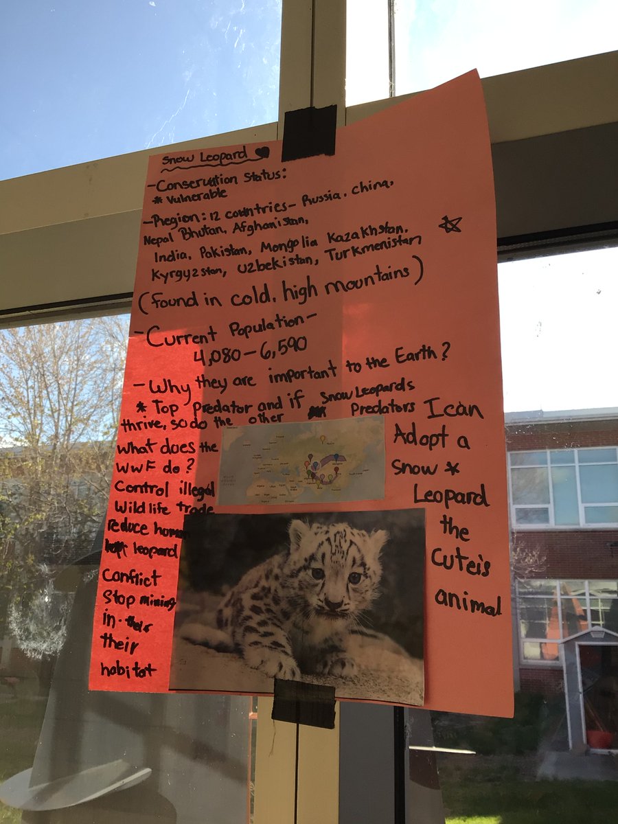 Wildcat1 tweet media