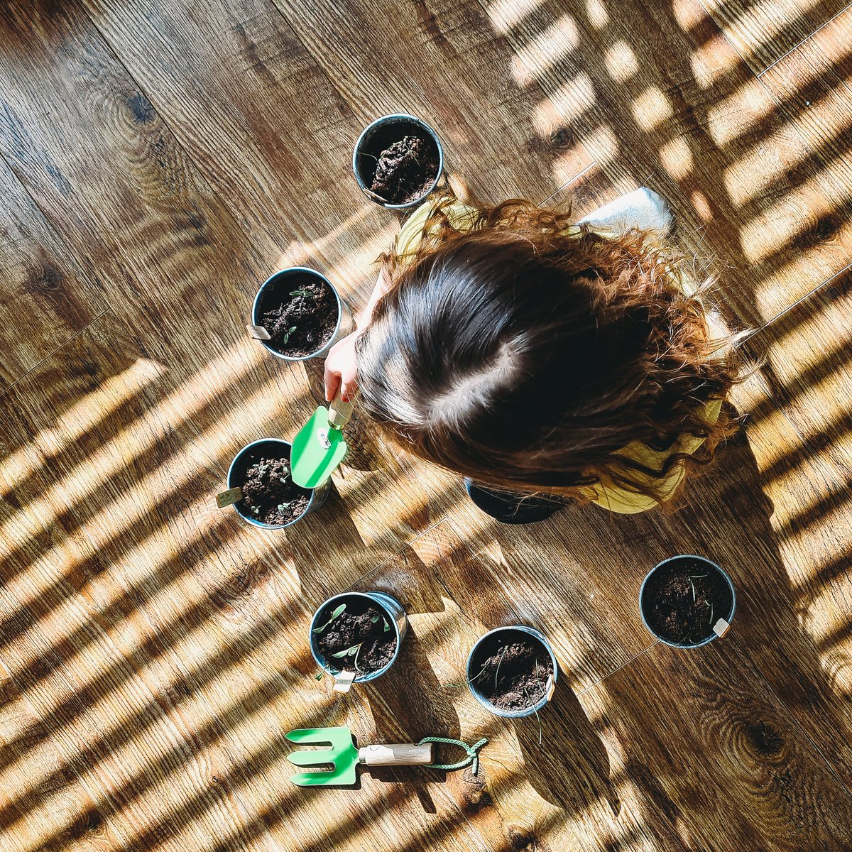 S i a n 🌱 tweet media