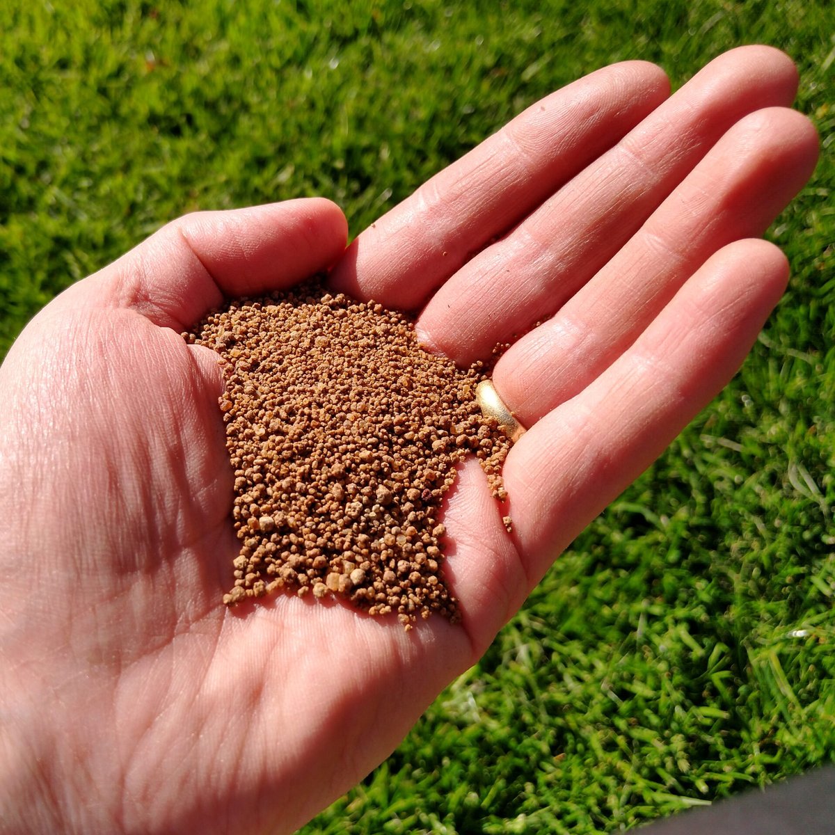 Is your lawn not quite as lush as your neighbors? Irrigation, fertilization, mowing height, and disease management are just some of the factors that can impact the health of your turf; and our team has the knowledge to help your lawn thrive. Call (972) 481-9565 today.