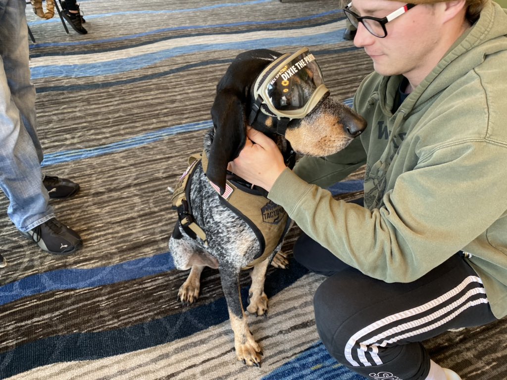 DariusJohnsonTV's tweet photo. TRUE EMOTIONAL SUPPORT: Dixie the Prayer Dog is here to console families who are still awaiting answers. https://t.co/Pr7FWHKZcs
