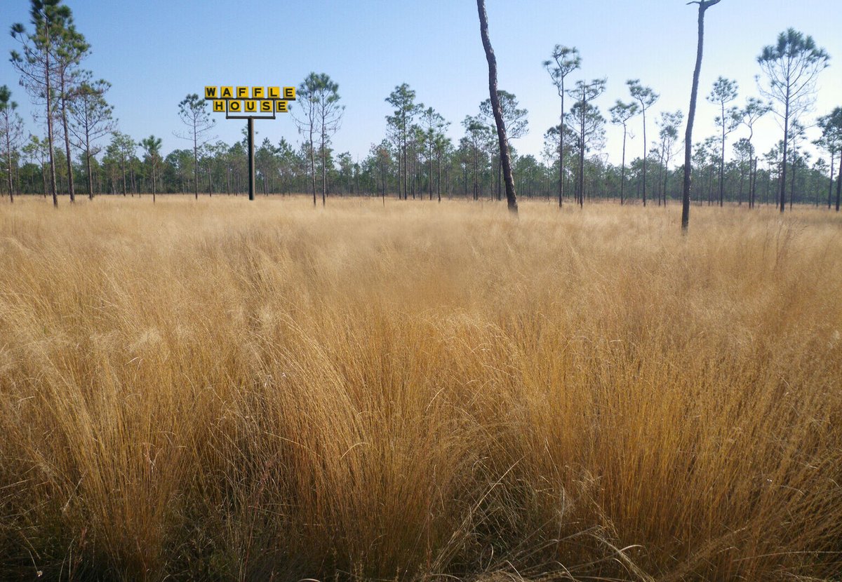 MoMAlearning's tweet image. How do climate change and racism intersect in our cities?

Hear from Emanuel Admassu, Olalekan Jeyifous (@OJeyifous), David Naguib Pellow, and Savonala Horne (@Land_Loss) in Black Reconstructions: Environmental Justice on 4/22 at 5:30pm ET.

Register: mo.ma/3aa567P