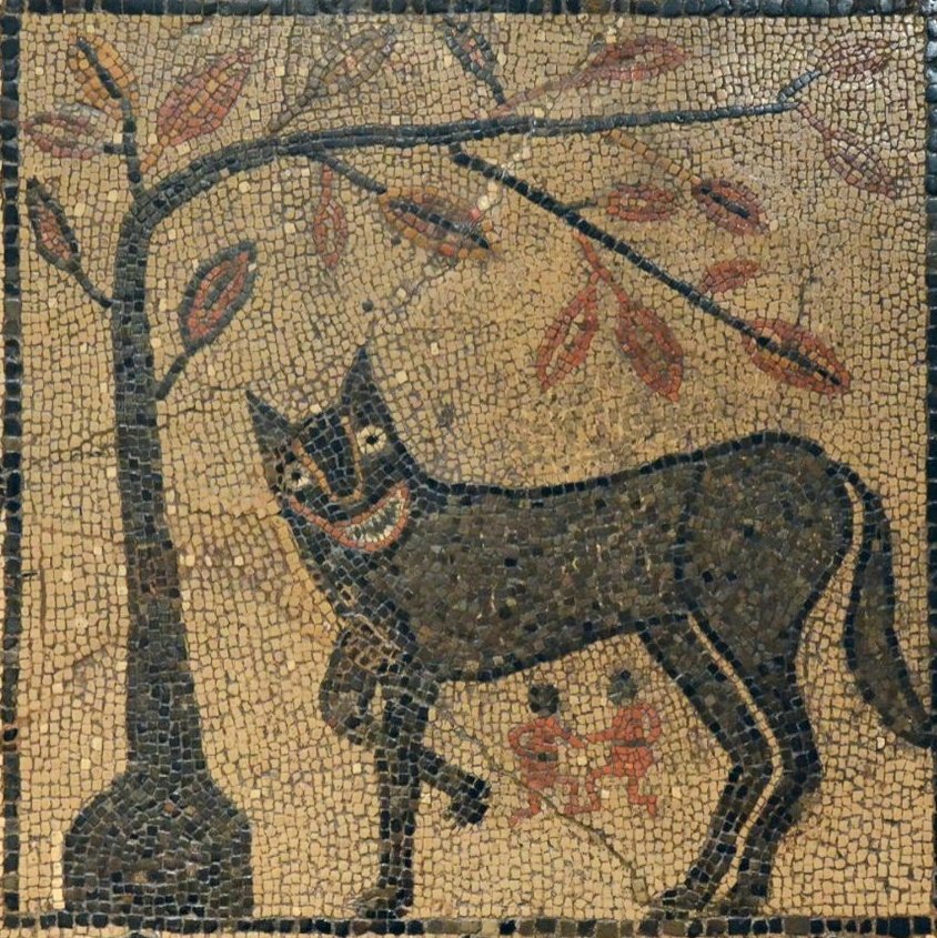 Dr Danny Bate tweet media