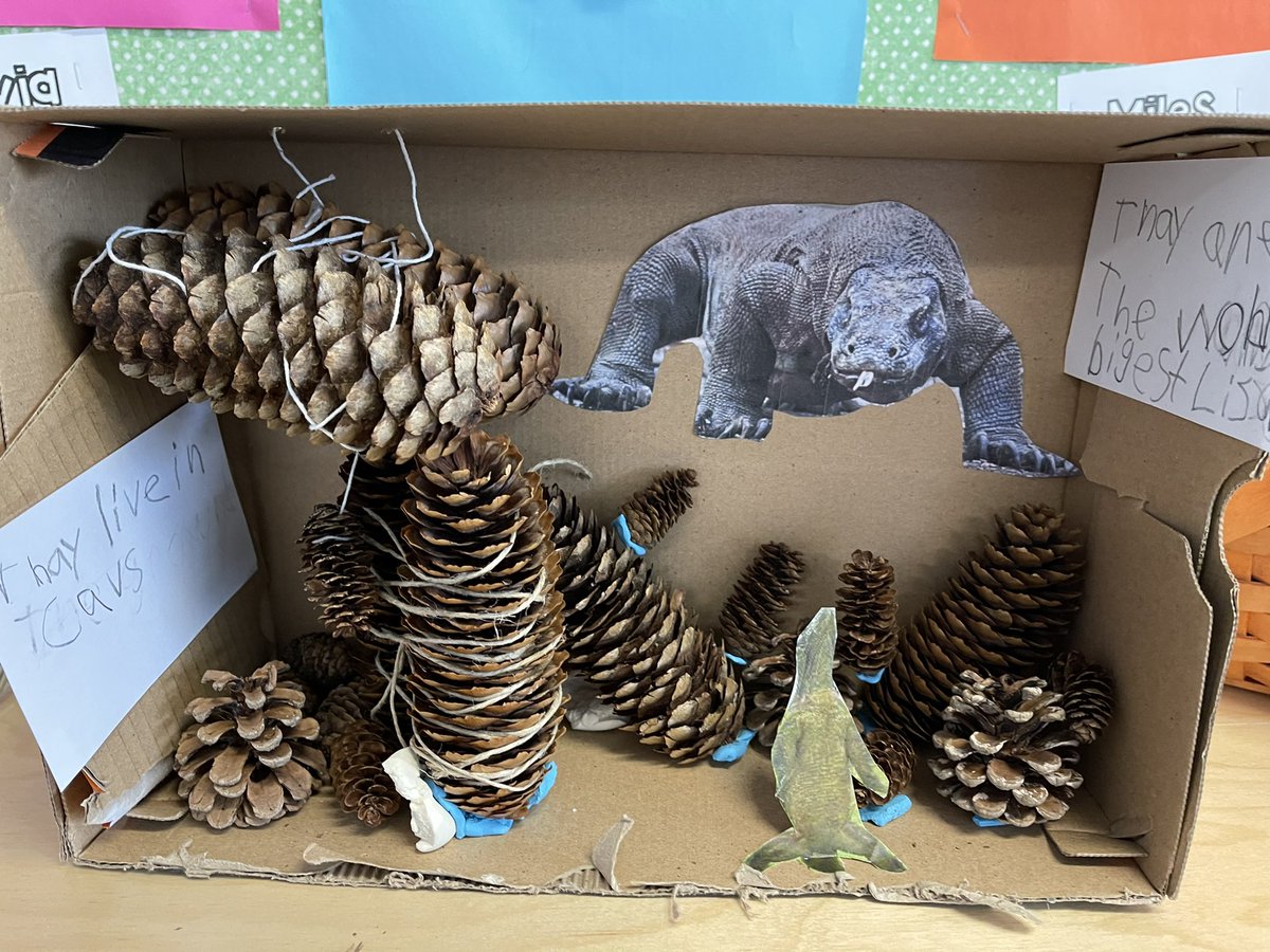 ekupiecTullyES's tweet photo. 1st grade “Museum in a Box” and 6th grade learning coding from Mr. Keefe. / "Museum in a Box" de primer grado y aprendizaje de codificación de sexto grado del Sr. Keefe. @tully_csd #TullyTogether #JuntosTully https://t.co/Ud50Iul09e