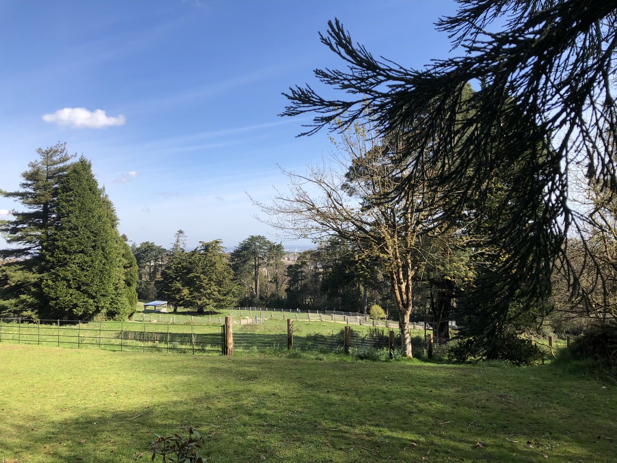 jacqellis's tweet photo. Another beautiful ☀️ day to enjoy #LunchtimeLockdown walks in 🇮🇪 https://t.co/a4ZwVyigW9