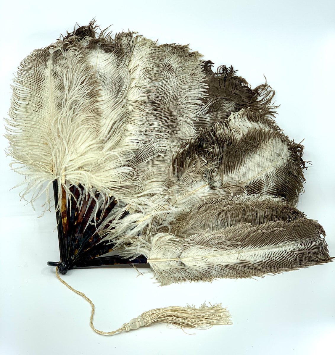 patschlenker's tweet image. Aus meinem Fundus. Grosser Federfächer aus Straussenfedern um 1920. #20s #Fächer #Federfächer #basel #vintage #mode #historisch #geschichte