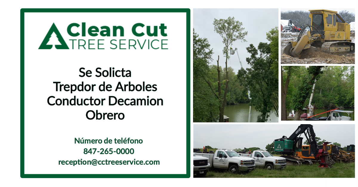 CleanCutTree's tweet image. Se Solicta
trepdor de arboles
conductor decamion
obrero
