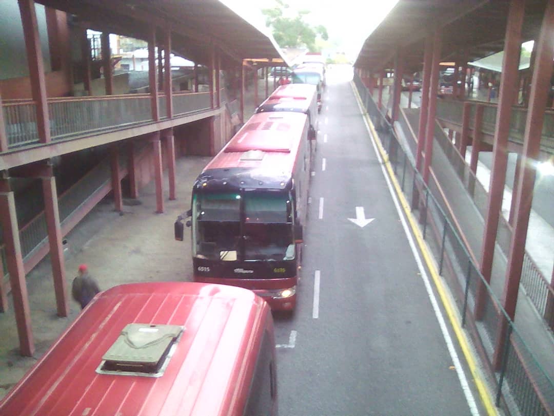 sitssa_ve's tweet photo. #SitssaInforma || Desde el #TerminalDeOriente "António José de Sucre" desde altas horas de la mañana nuestras taquillas se encuentran activas con la venta de boletos hacia el Oriente del País

Recuerde cumplir con las normas de Bioseguridad en todo momento
#SiTeCuidasMeCuidas https://t.co/3pBDyzPr8P