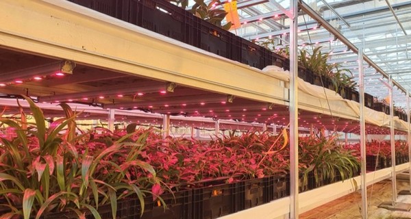 "Our goal is to grow scaly lily bulbs with zero pesticides by 2030"
verticalfarmdaily.com/article/931232…