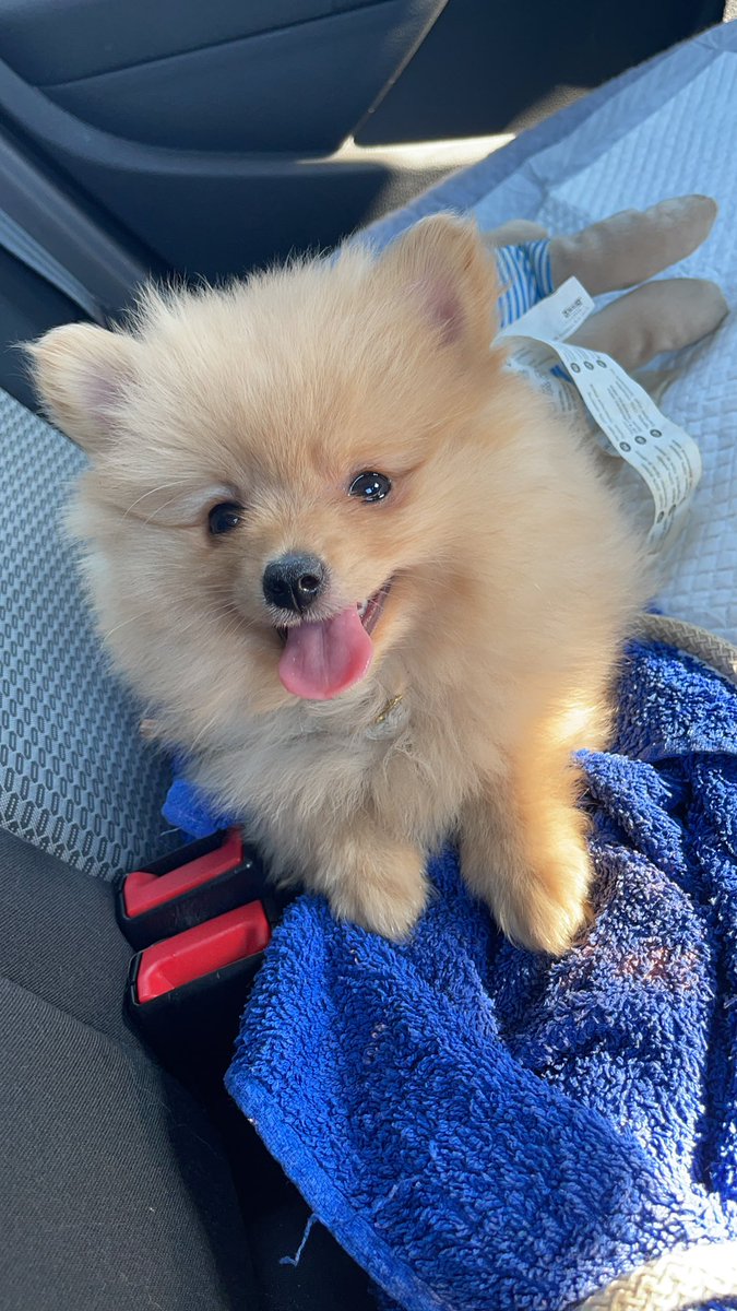 Welcome “sky” 😍 <a href="/EmmaDegeyter/">Ems</a>