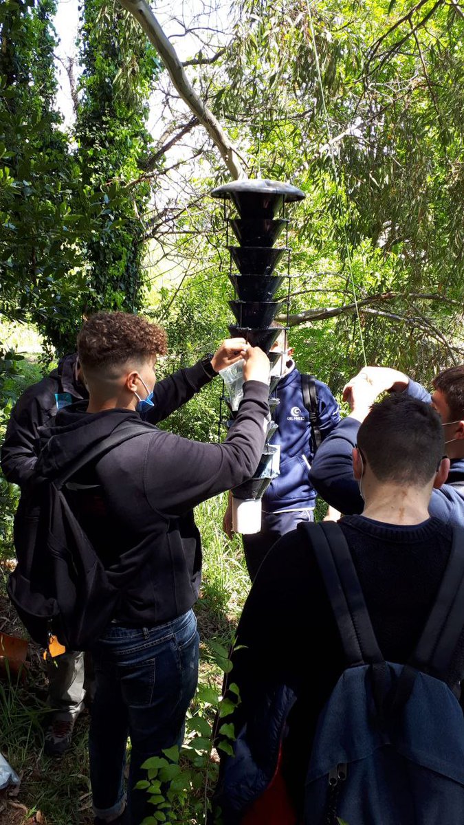LifeSamfix's tweet image. The staff of the @Parco_Circeo met the students of the Istituto Agrario di #Latina &quot;San Benedetto&quot; and installed two traps with them. #samfix #xylosandrus #lifeprogramme @LIFEprogramme