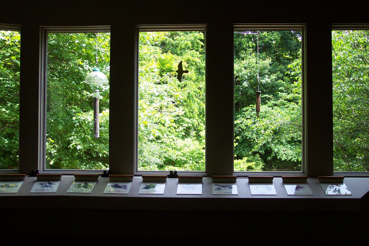 JJAStatePark's tweet photo. Our museum is nestled within Audubon State Park, most of which has been dedicated as a nature preserve. Below are a few photos from our archives of the park and the bird observation room in the museum.
#Archive30 #ArchiveEnvironment https://t.co/AWNWfdt6DE