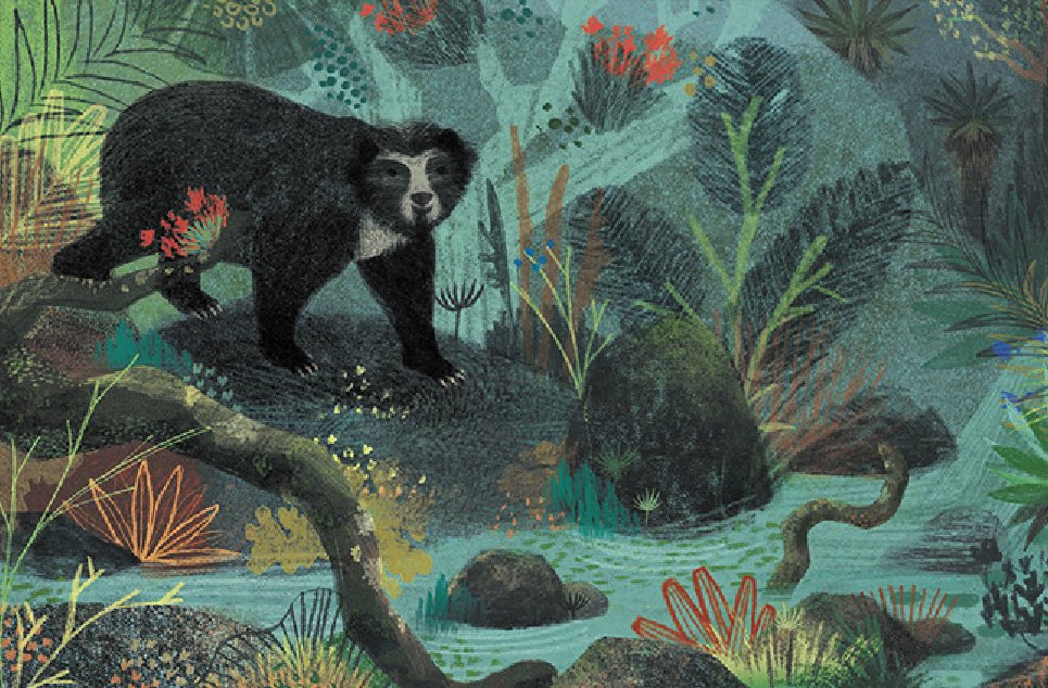 This months "Meet the Member" was with our resident mural painter and all round super talented Columbian Illustrator Catalina Carvajal. If you missed the newsletter read all about her work buff.ly/3wA63Qo