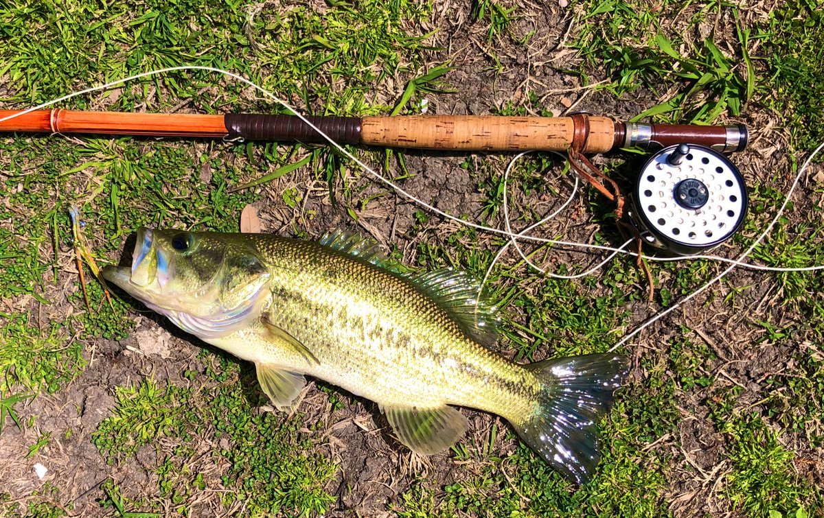 Shepherd's Leather “In the field” tweet media