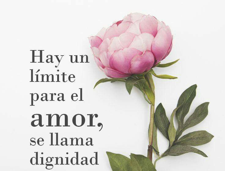 Paulo Coelho Español (@paulocoelhodice) on Twitter photo 