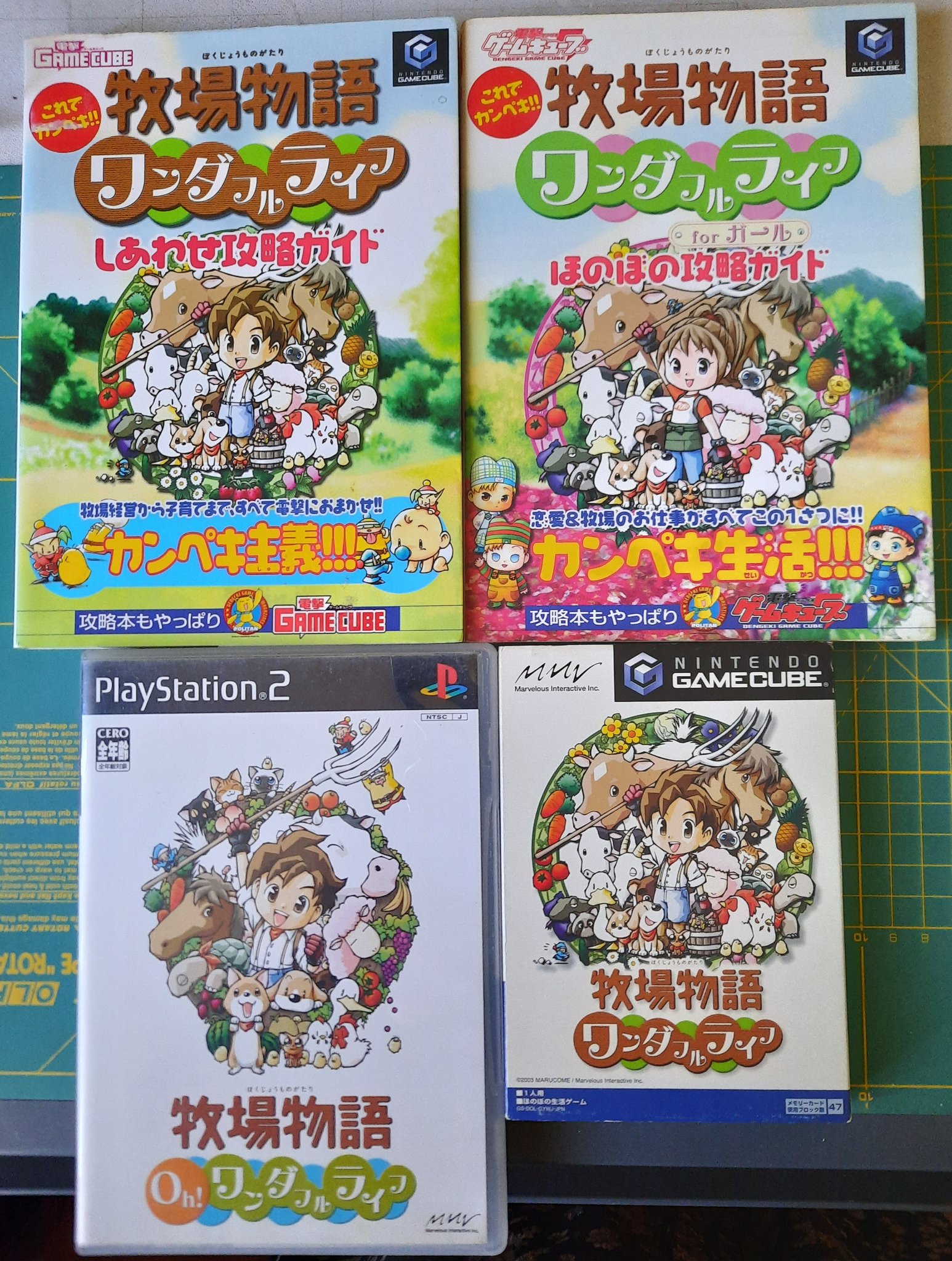 Forget Me Not Valley Bokujou Monogatari Wonderful Life For Girls Heartwarming Strategy Book T Co Jljs40l6da Twitter