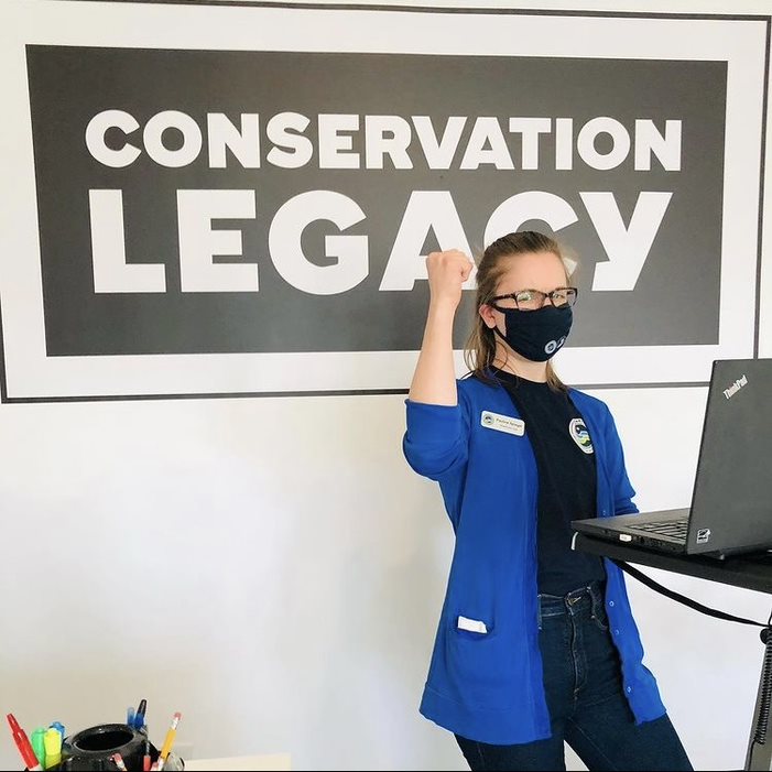 STEWARDS tweet media