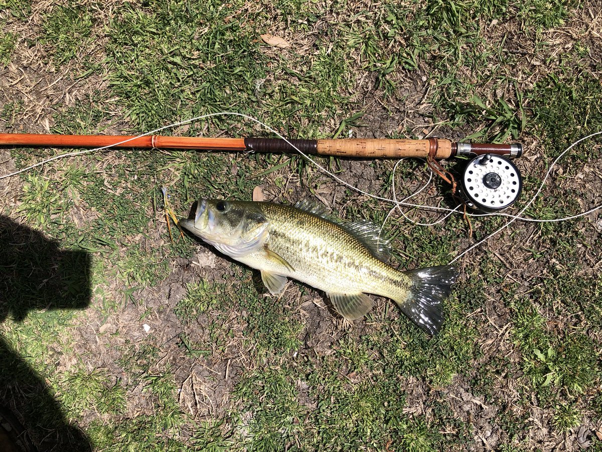 Shepherd's Leather “In the field” tweet media