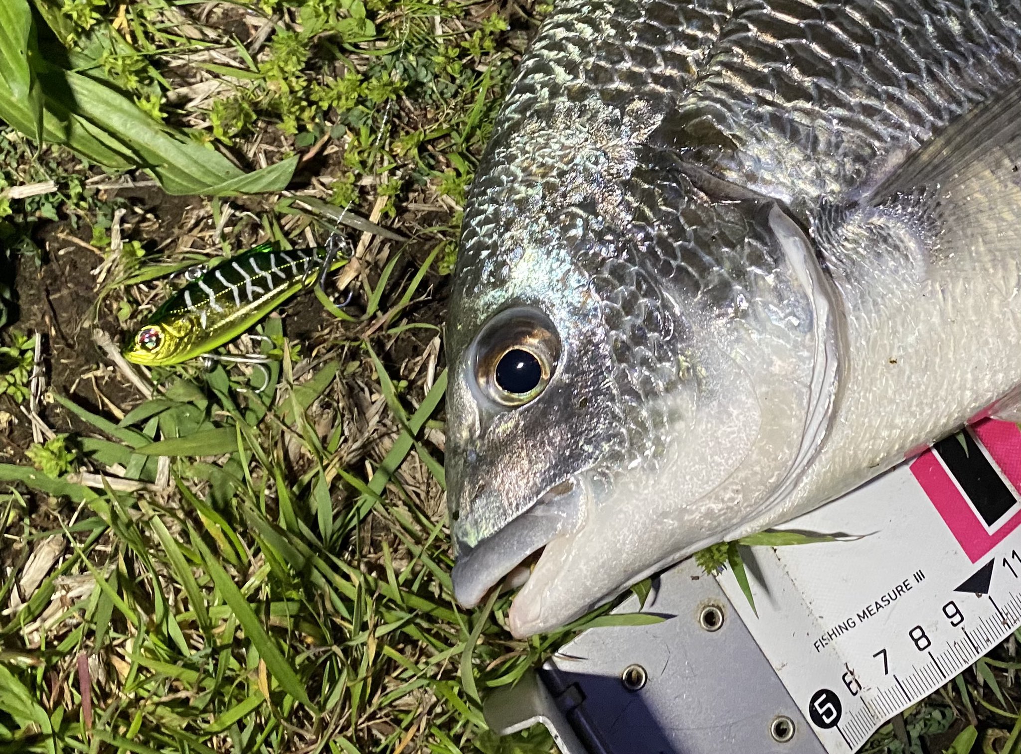 バスデイ Twitter Search Twitter