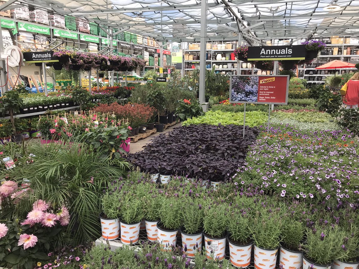 Bringing on Spring at The Scottsdale Talking Stick Home Depot!! Live goods are looking amazing and the temps are perfect to give your green thumb some exercise!! @jskaplin <a href="/murphasm0457/">Rich Murphy</a> <a href="/PabstBen/">Ben Pabst</a>