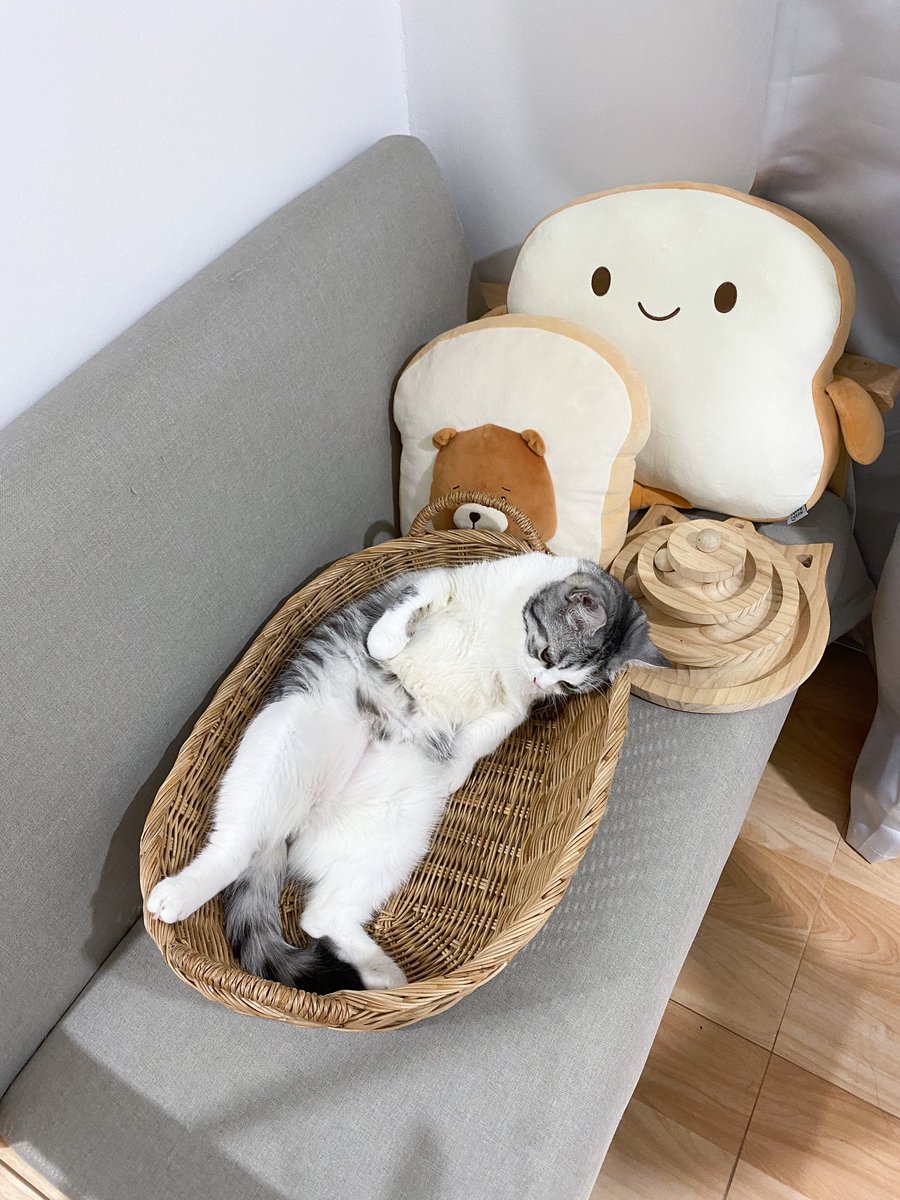 _DNVP_'s tweet photo. อุนยายก็เอาแต่สนใจพวกเด็กๆอะ ใช่ซี๊~ t-t https://t.co/RVIgq89oSO