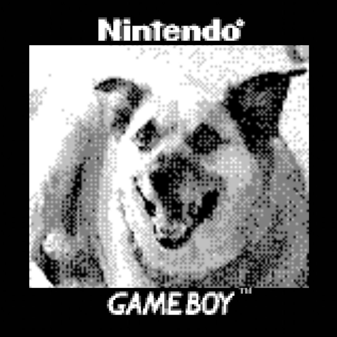 PixelPopsNFT's tweet photo. 5/5

Doge 🥰 https://t.co/Sfq3r5qry7